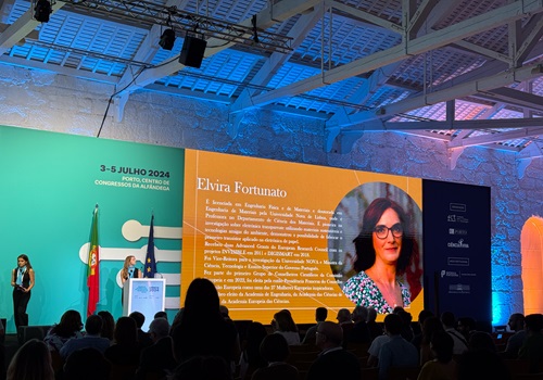 Medalha de Mérito Científico 2024 para Professora Elvira Fortunato