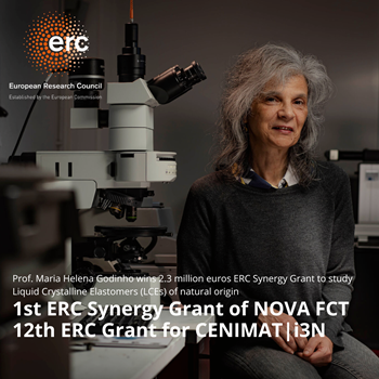 Professor Maria Helena Godinho wins 2.3 million euros ERC Synergy to study Liqui