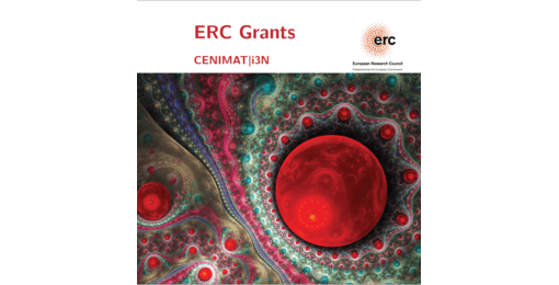 i3N ERC Brochure
